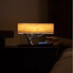 Lampe de Chevet Sensitive Touch Tactile Design 3 en 1