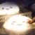 2 Veilleuses (25,49€/unité = 2ème à -30% + Livraison Offerte)