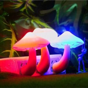 Petite Veilleuse Champignon pour éclairer les Nuits de votre Enfant