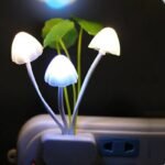 veilleuse champignon lumineux pour la chambre de votre enfant 478 1