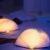 2 Veilleuses (33,99€/unité + Livraison Offerte)
